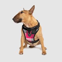 Canada Pooch Everything Water-Resistant Dog Harness Pink Plaid M