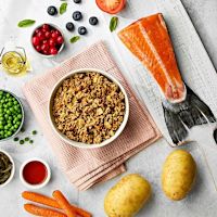 Naturo Wet Dog Food - Grain-Free Salmon & Potato w/ Veg 400 g Case of 7