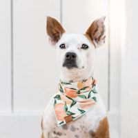 Handmade in USA Dog Bandana - Peaches and Cream M 18"
