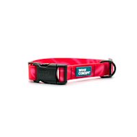Woof Concept Waterproof Dog Collar - Cosmopolitan M 3/4"