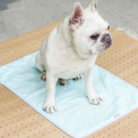 ppark - Reusable Pee Pad