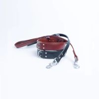 Angel Dallas Leather Dog Leashes