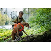 Ruffwear Web Master Dog Harness with Handle Blaze Orange M