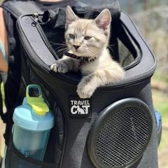 Travel Cat "The Fat Cat" Backpack Carrier