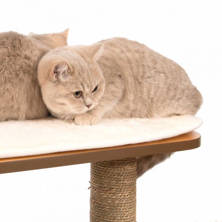 Cat Paradise Crème - Krabpaal voor grote katten van RHR Pets