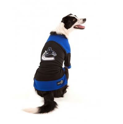 vancouver canucks pet jersey