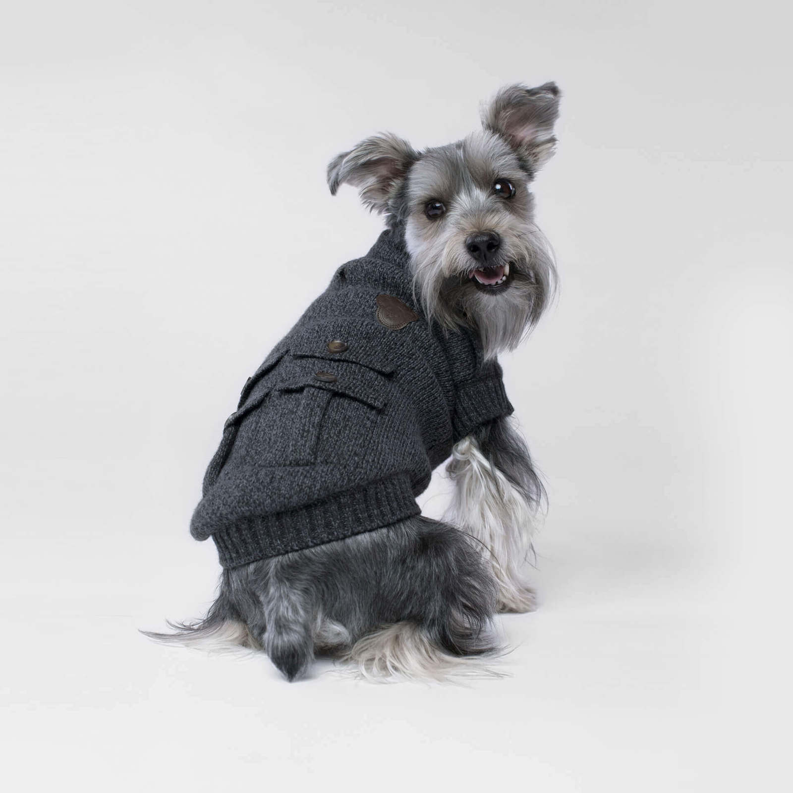 canada pooch sweater