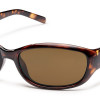 TORTOISE POLARIZED BROWN