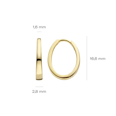 Blush - Ovalen creolen in 14kt geel goud - 7278YGO Blush - Ovalen creolen in 14kt geel goud - 7278YGO