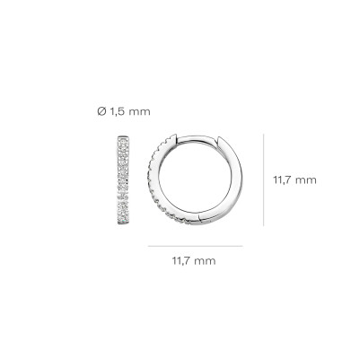 Blush - Creolen in 14kt geel goud met zirkonium - 7307WZI Blush - Creolen in 14kt geel goud met zirkonium - 7307WZI