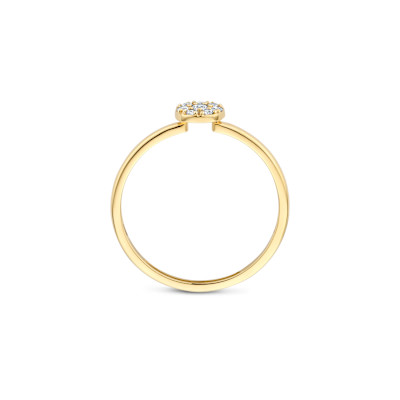 Blush - Ring in 14kt geel goud met zirkonium - 1277YZI