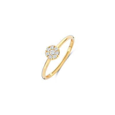 Blush - Ring in 14kt geel goud met zirkonium - 1277YZI