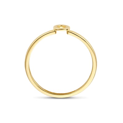 Blush - Ring in 14kt geel goud met zirkonium - 1231YZI/52