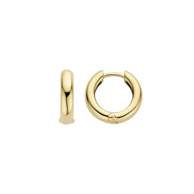 Blush - Creolen in 14kt geel goud - 7316YGO