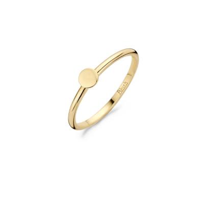 Blush - Ring in 14kt geel goud - 1212YGO/54