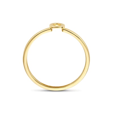 Blush - Ring in 14kt geel goud - 1233YGO/50