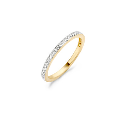 Blush - Ring - 14kt goud - 1119BZI/56