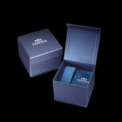 Festina - Herenhorloge in staal met lederen band - F20690/3