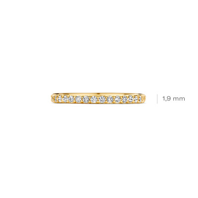 Blush - ring in 14kt geel goud met zirkonium - 1244YZI/56