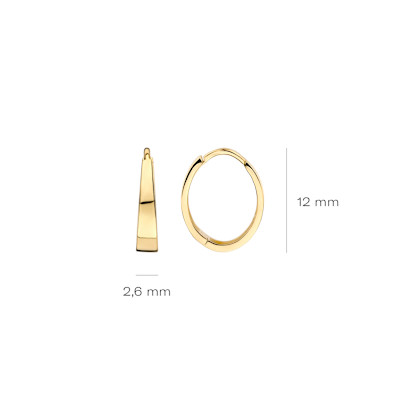 Blush - Creolen in 14kt geel goud - 7379YGO