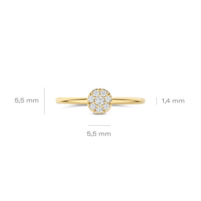 Blush - Ring in 14kt geel goud met zirkonium - 1277YZI