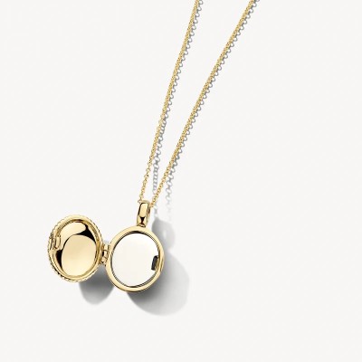 Blush - Fotohanger medaillon - 6081YGO