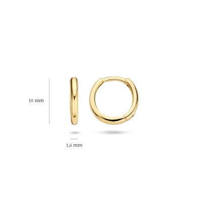 Blush - Creolen in 14kt geel goud - 7232YGO