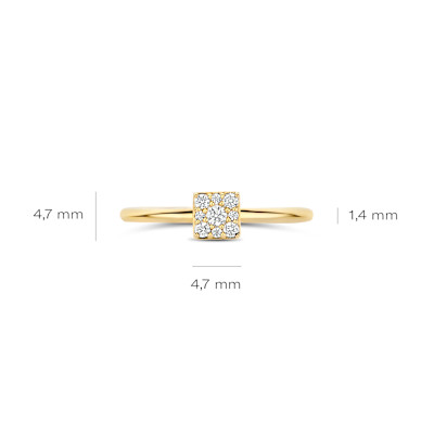 Blush - Ring in 14kt geel goud met zirkonium - 1278YZI