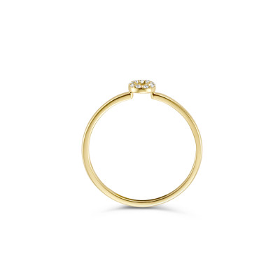 Blush - Ring in 14kt geel goud - 1217YZI op maat 52