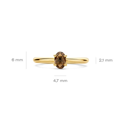 Blush - Ring in 14kt geel goud - 1242YSQ/56