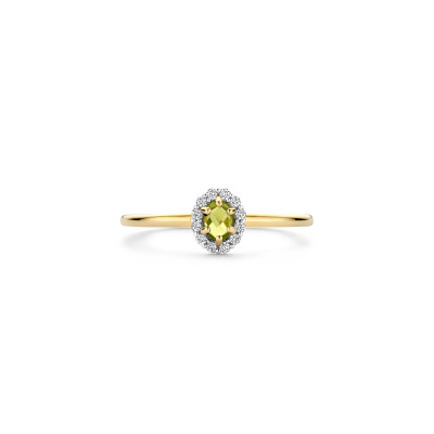 Blush - Ring in 14kt geel goud - 1258YGP/52 Blush - Ring in 14kt geel goud - 1258YGP/52
