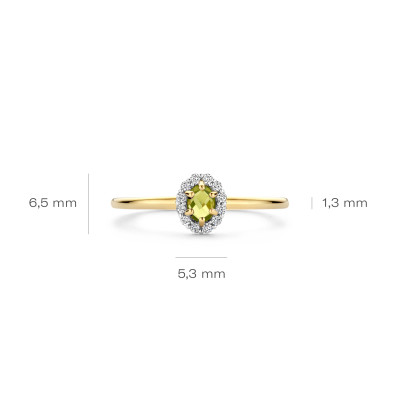 Blush - Ring in 14kt geel goud - 1258YGP/52