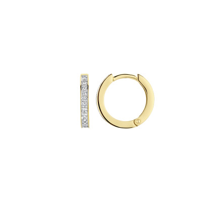 Blush - Oorringen - 14kt goud - 7163BZI