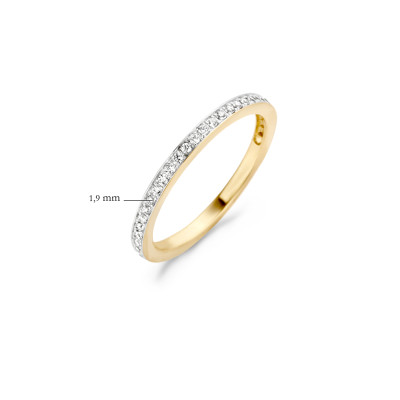 Blush - Ring - 14kt goud - 1119BZI/56