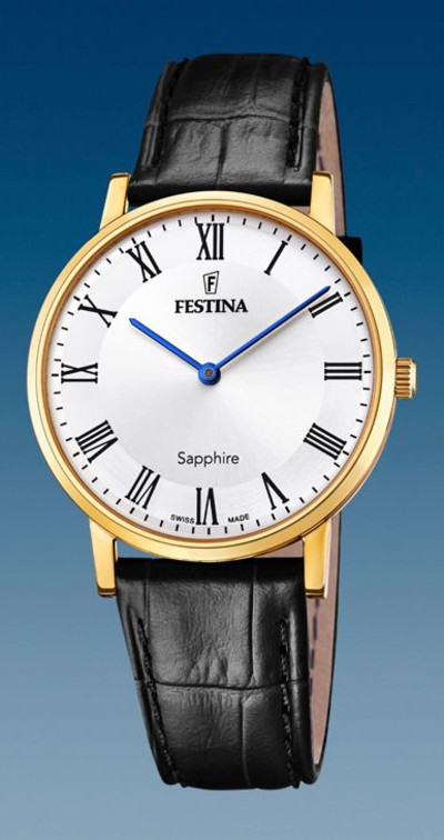 Festina Swiss - Herenhorloge - F20016/4