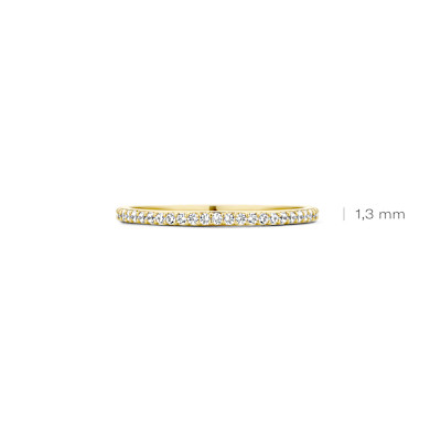 Blush - Ring in 14kt met zirkonium maat 54 -1201YZI