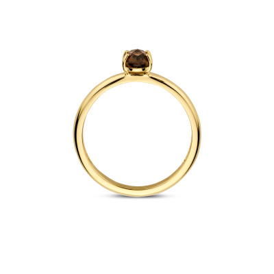 Blush - Ring in 14kt geel goud - 1242YSQ/56