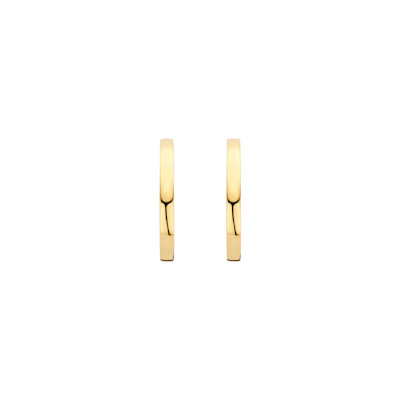 Blush - Creolen in 14kt geel goud - 7308YGO