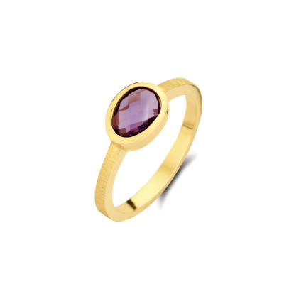 Femme adoree - Ring 18kt geel goud met Améthyste - 03R0320/52