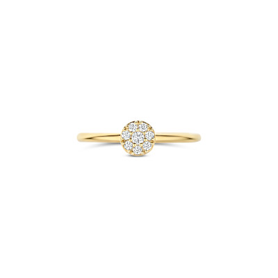 Blush - Ring in 14kt geel goud met zirkonium - 1277YZI