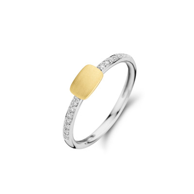 Femme adoree - ring 18kt goud bi-color - 10R0106mat - 53 Femme adoree - ring 18kt goud bi-color - 10R0106mat - 53