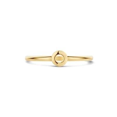 Blush - Ring in 14kt geel goud - 1233YGO/50