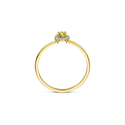 Blush - Ring in 14kt geel goud - 1258YGP/52