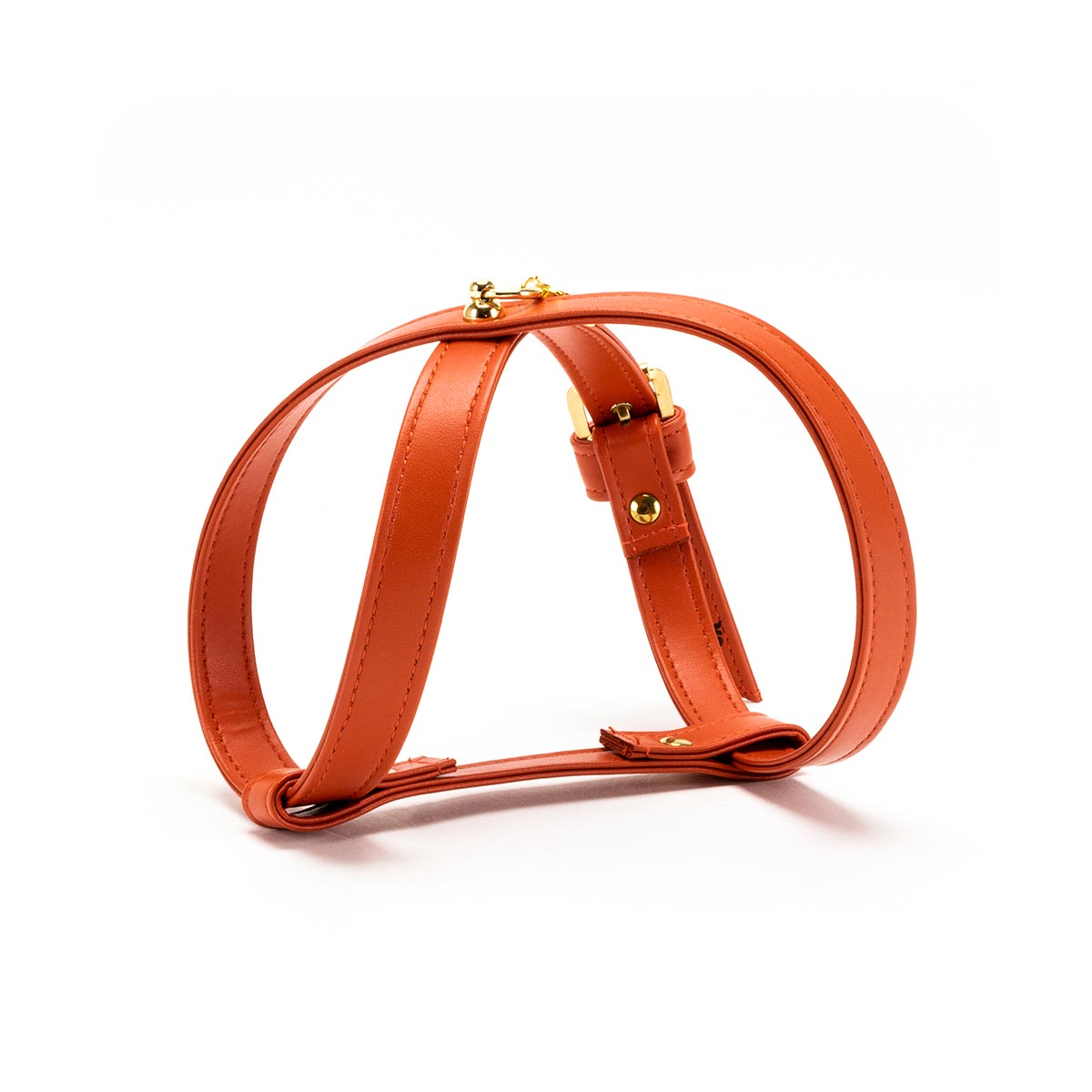 Charlotte's Dress Hondentuig Hermes Mandarin