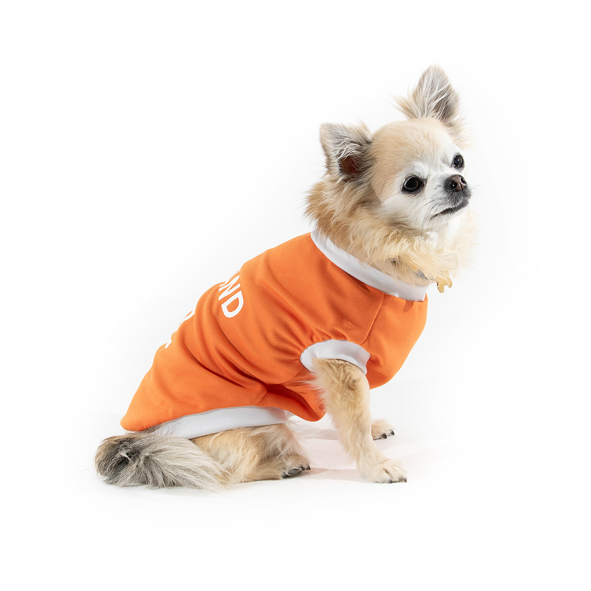 51DN Hondenshirt Holland Oranje