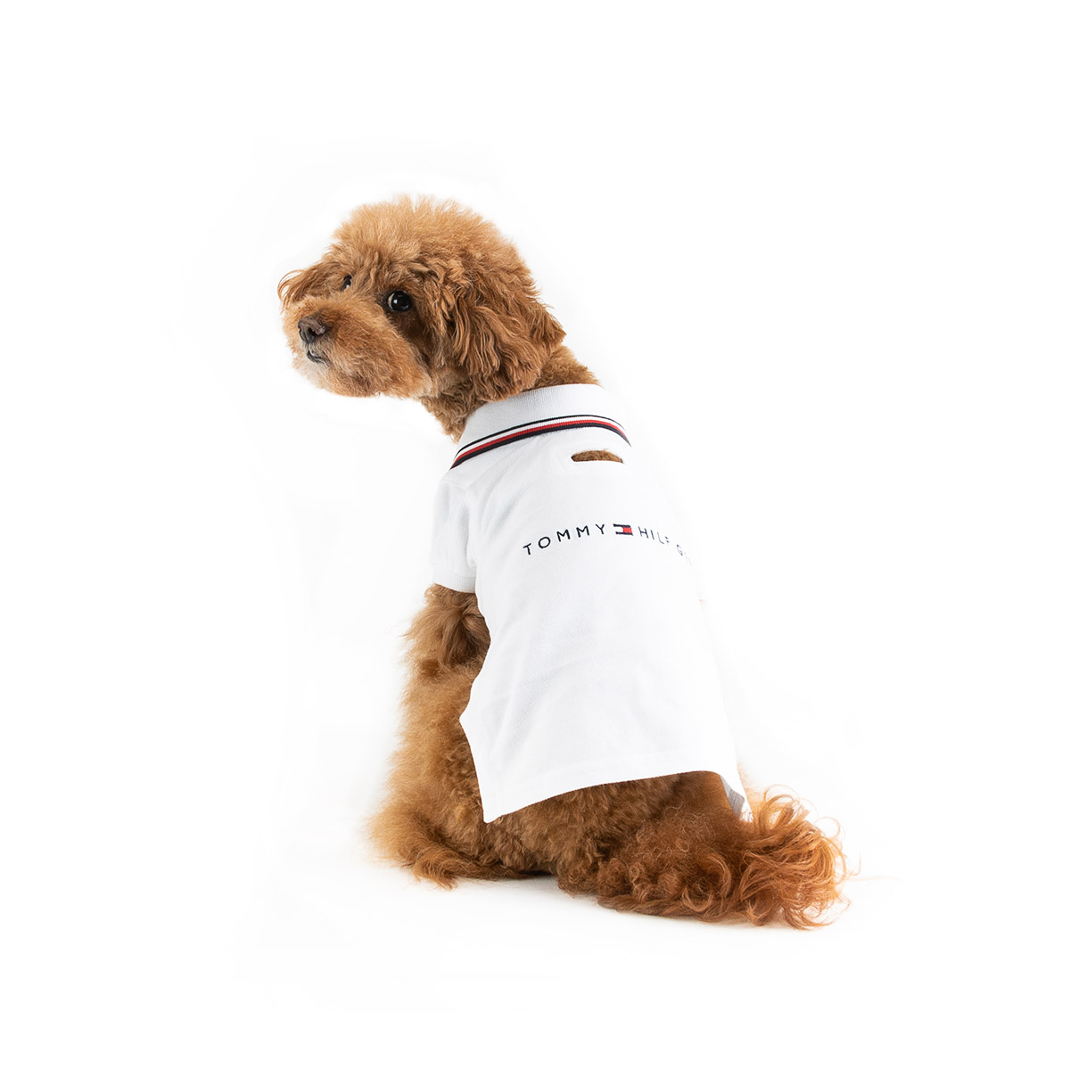 Tommy Hilfiger Hondenshirt Dog Heritage Polo Optic White