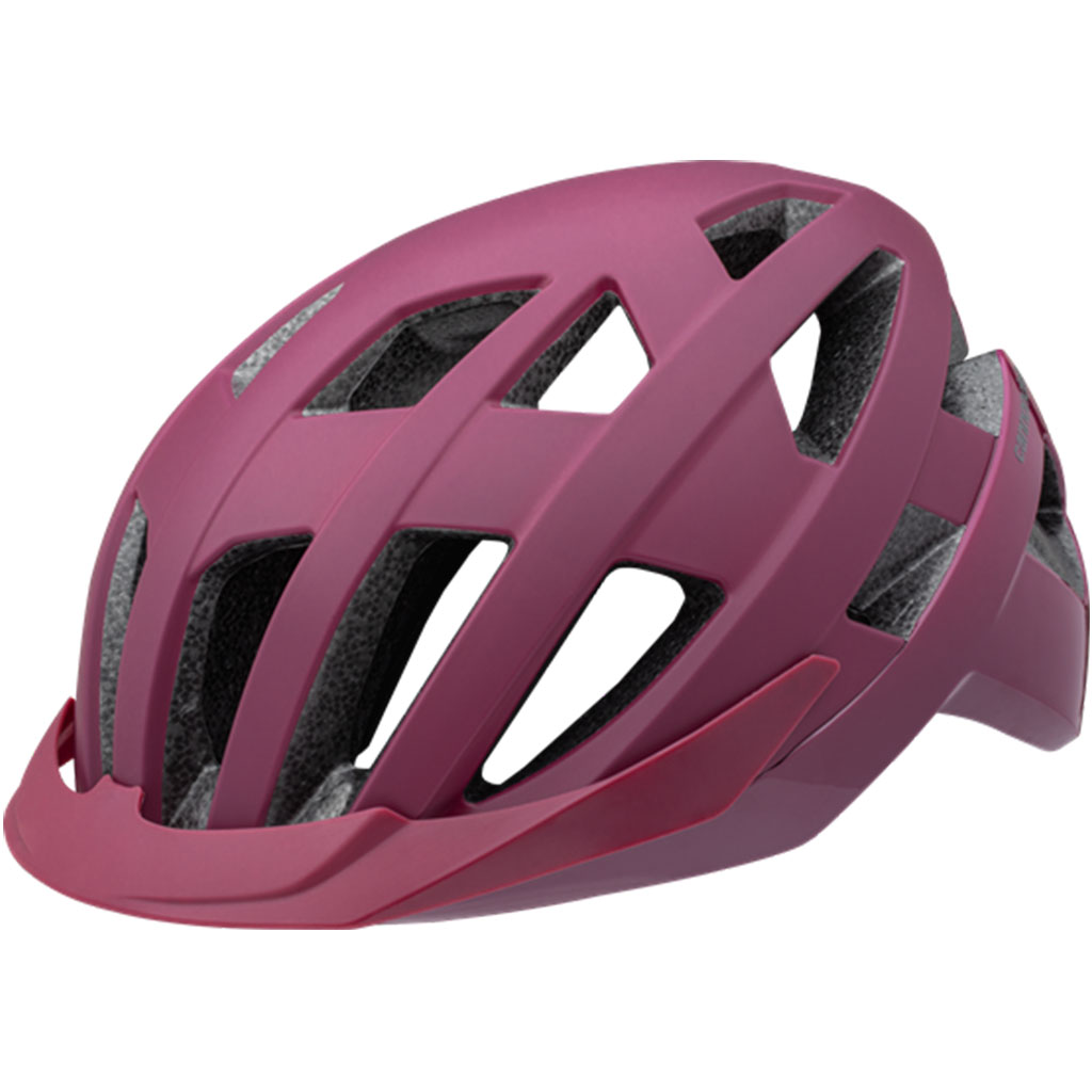 Cannondale Junction MIPS Bike Helmet Black L/XL (Missing