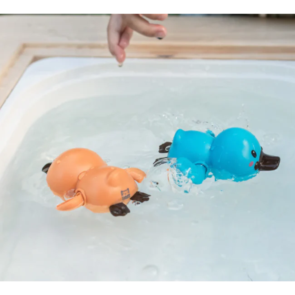 Bath Racers - Platypuses