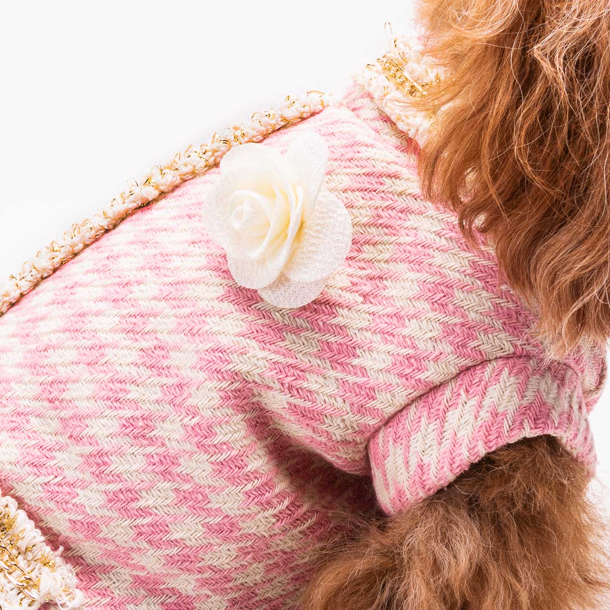 Charlotte's Dress Hondensweater Juliette Rose Cream