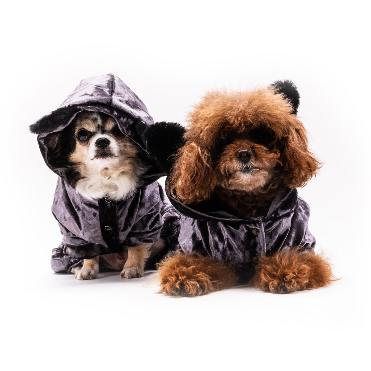 I Love My Dog Hondenjumpsuit Intense Grey